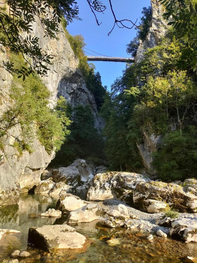 Entre Lacs Et Montagnes Cusy 외부 사진